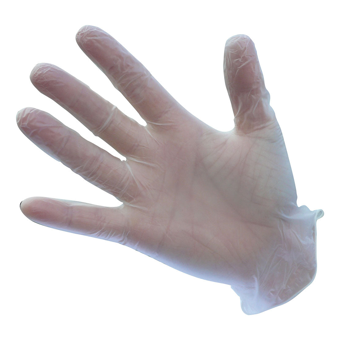 Powdered Vinyl Disposable Glove - Clear
