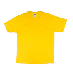 Gildan Short Sleeve Ultra Cotton Crew Neck Adult T-Shirt