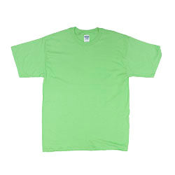 Gildan Short Sleeve Ultra Cotton Crew Neck Adult T-Shirt
