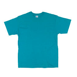 Gildan Short Sleeve Ultra Cotton Crew Neck Adult T-Shirt