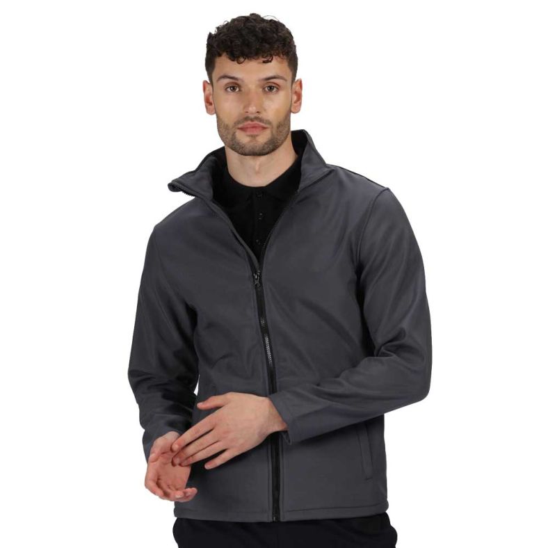 Regatta ablaze online